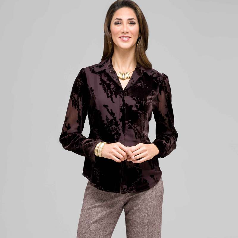 Long Sleeve Covered Placket Blouse, Brown, large